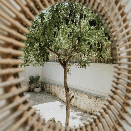 Bed and Breakfast Casa Chimi Тулум Экстерьер фото